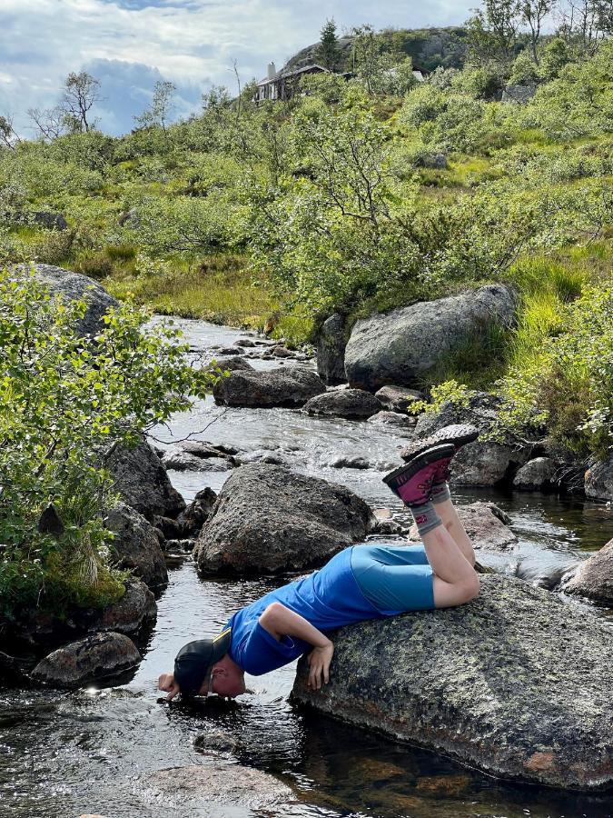 Flott Leilighet Pa Haugen I Sirdal Tjorhom Εξωτερικό φωτογραφία